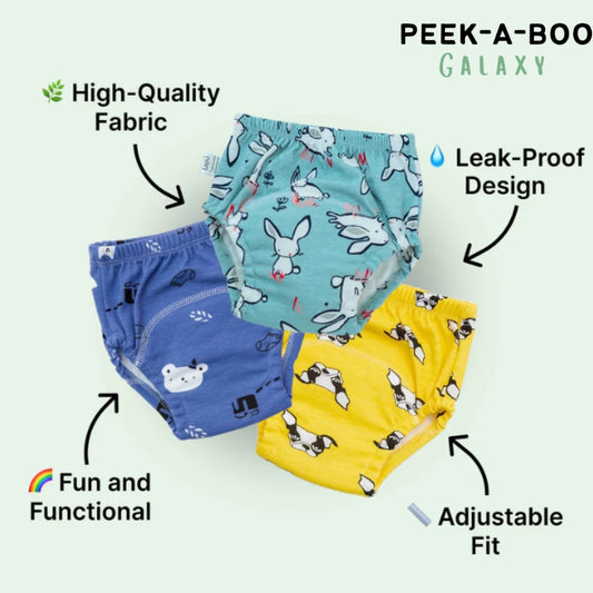 Potty Training Underwear